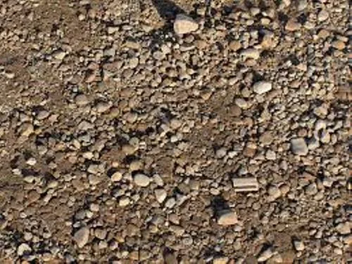 10 Facts About Dirt Fact File
