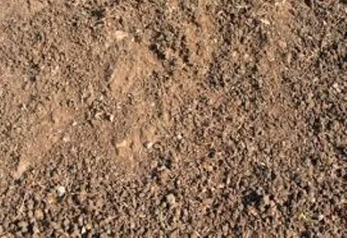 10 Facts About Dirt Fact File