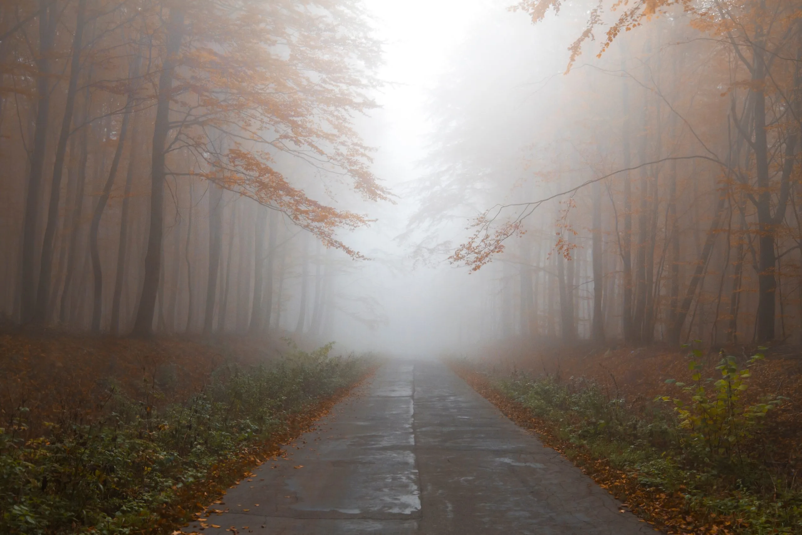 10 Interesting Facts About Fog
