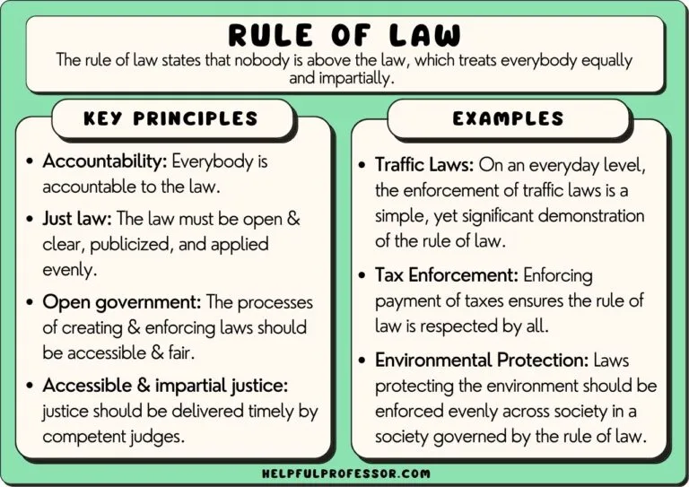 10 Rule Of Law Examples 2025