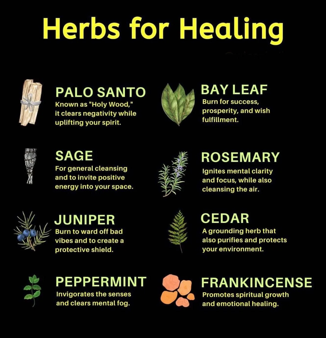 100 Medicinal Plants And Their Uses Artofit