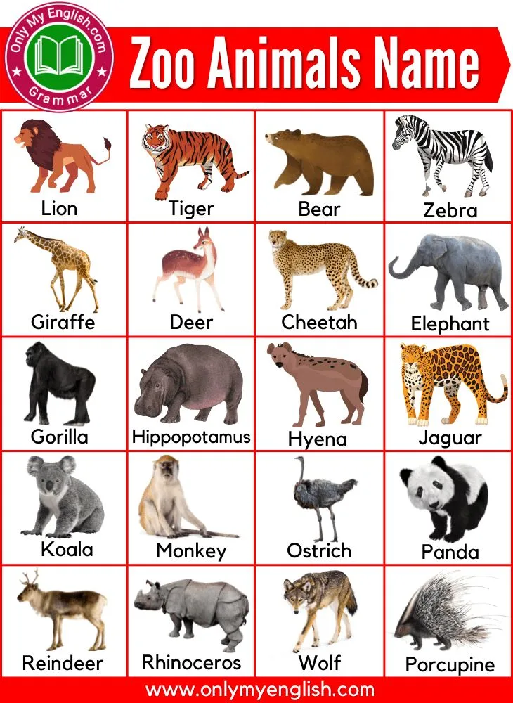 100 Most Common Zoo Animals List With Pictures Zoo Animals List Zoo Animals Names Zoo Animals