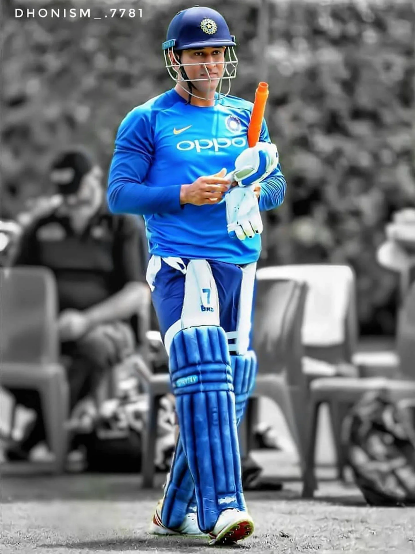 100 Msd Wallpapers