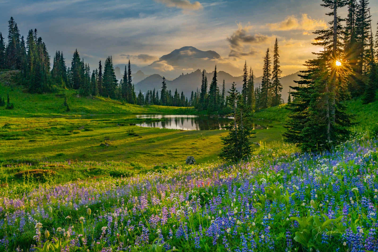 100 Nature Landscape Pictures