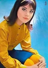 1000 Images About Colleen Corby On Pinterest