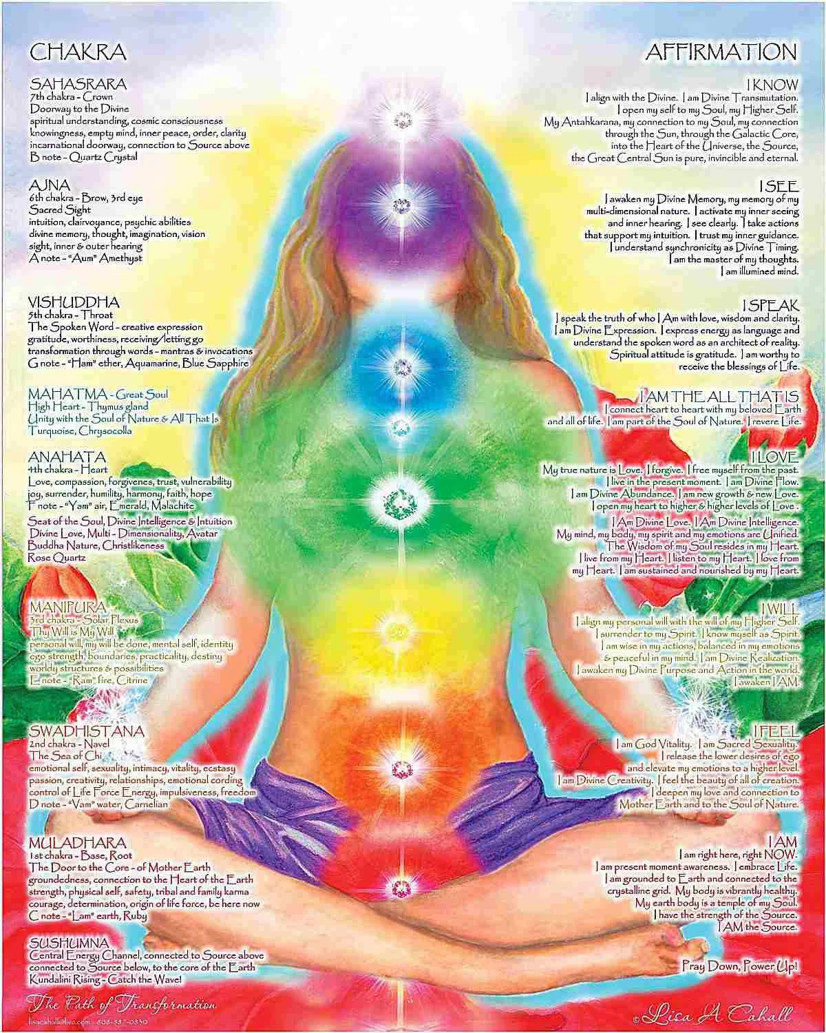 114 Chakras Diagram