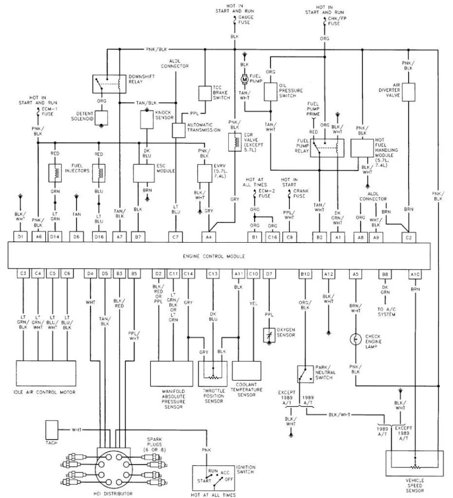 13 Wiring Fleetwood Rv Electrical Schematic Check Right Now