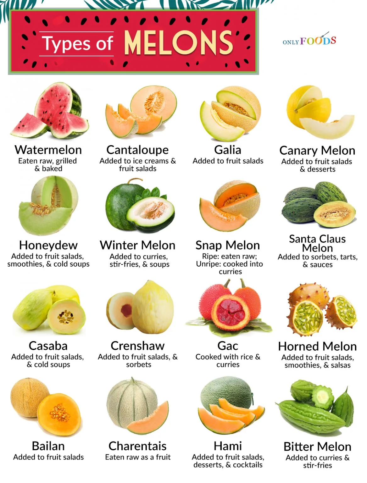 14 Different Types Of Pears With Pictures Only Foods