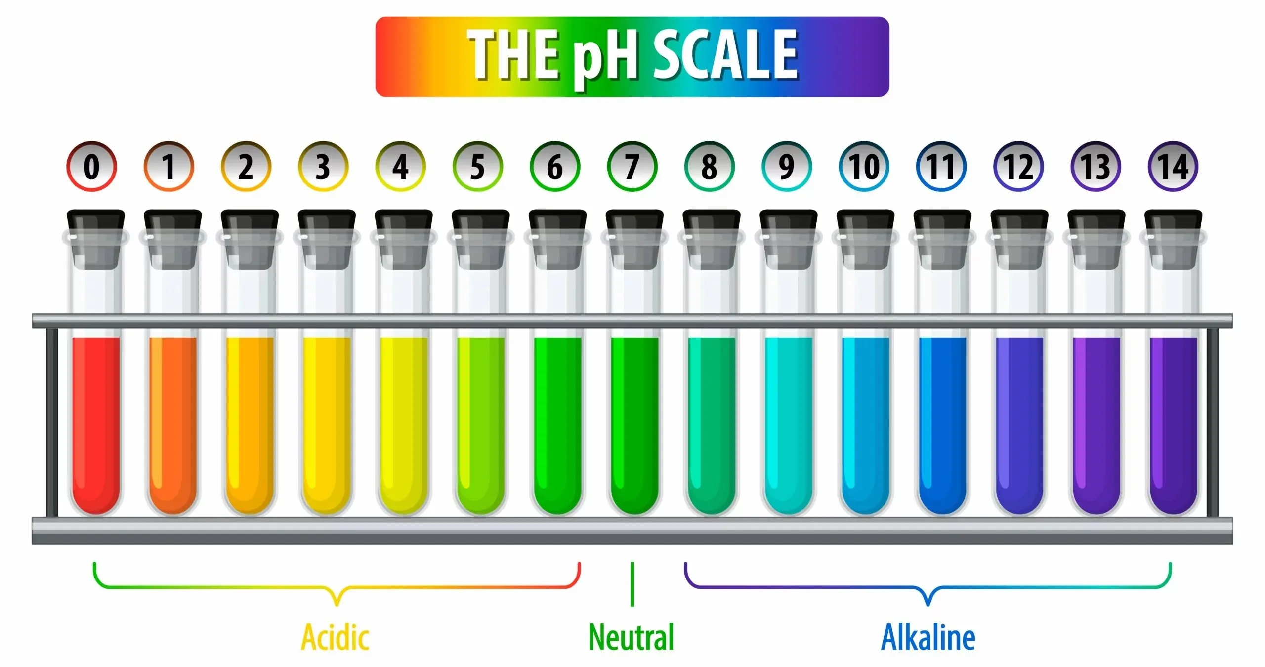 15 Mind Blowing Facts About Ph Scale