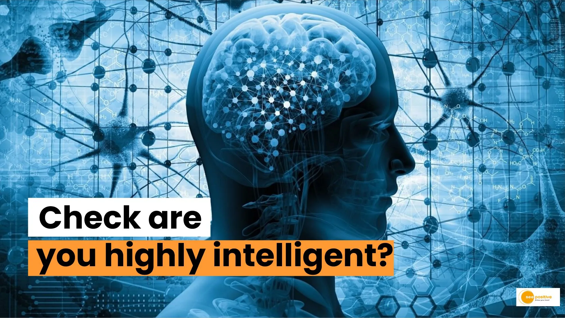 19 Common Behaviors Of Highly Intelligent People See Positive