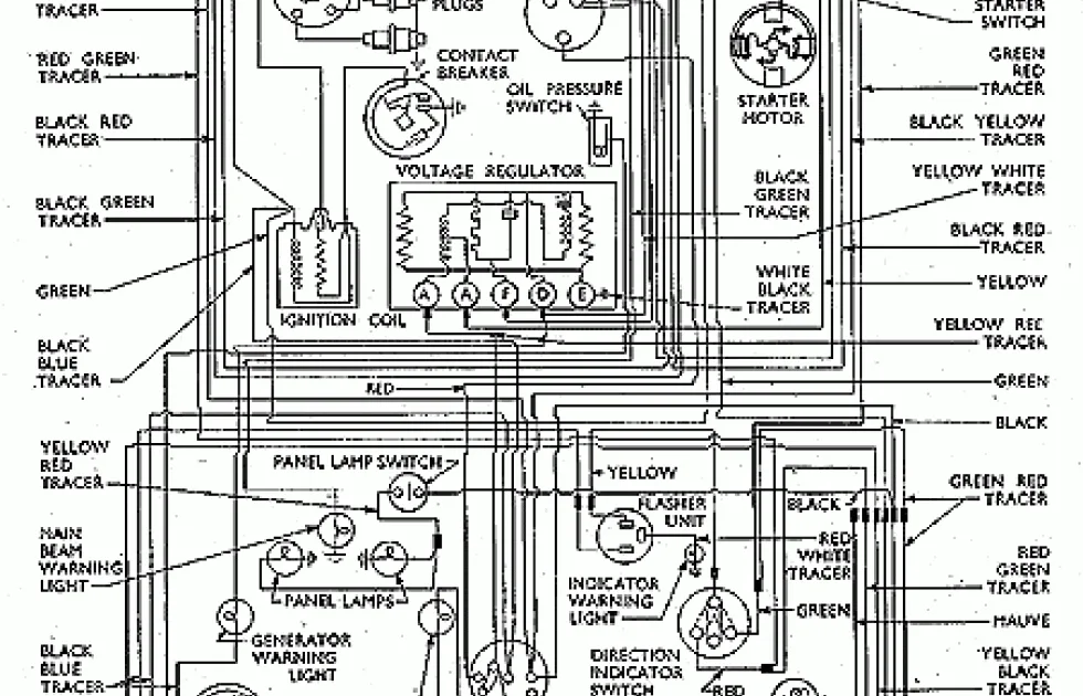 1955 Ford Truck Wiring Diagram Herbalful
