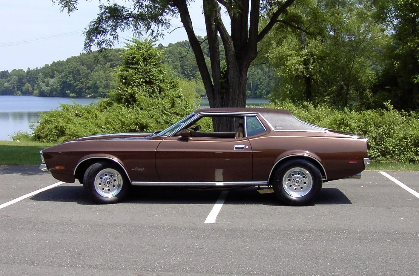 1971 Ford Mustang Ultimate In Depth Guide