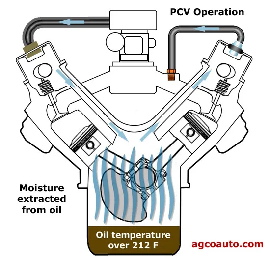 1976 Monte Carlo Pcv Valve Diagram