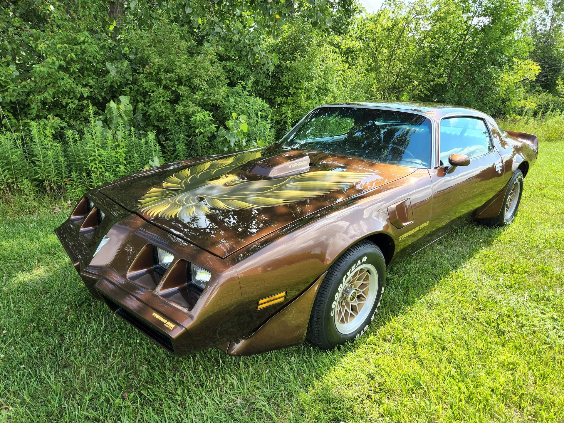 1979 Pontiac Trans Am