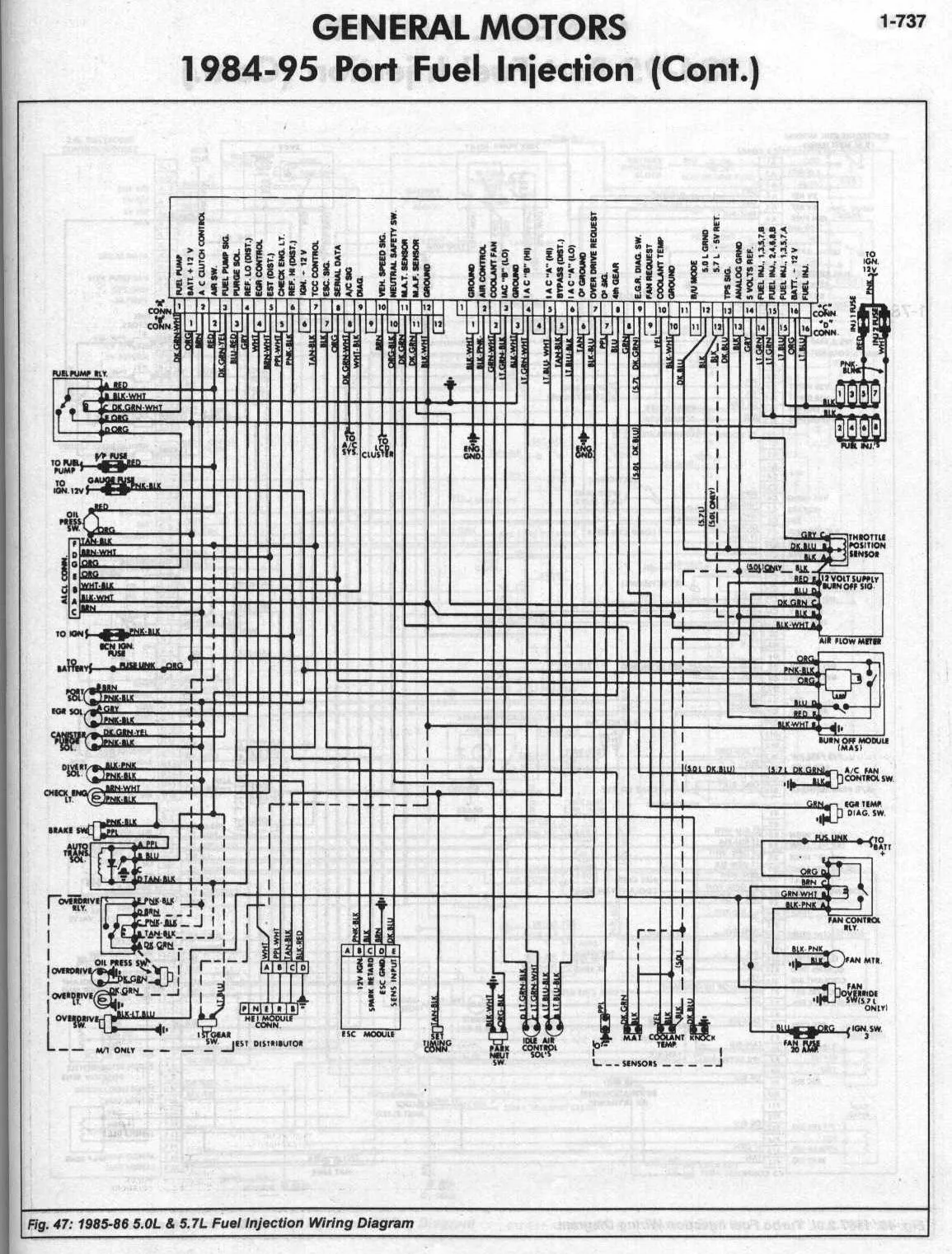 1988 Camaro Wiring Diagram Wiring Diagram