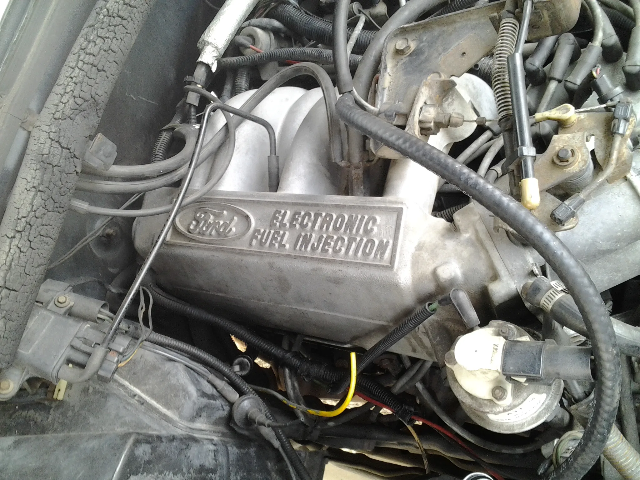 1988 Ford Bronco 2 Engine 1988 Free Engine Image For User Manual Download