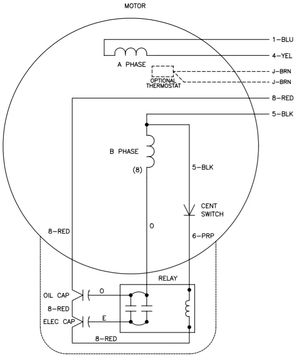 2 Split Phase Motor Wiring Diagram Dayton Capacitor Start Motor Wiring Diagram Free Wiring
