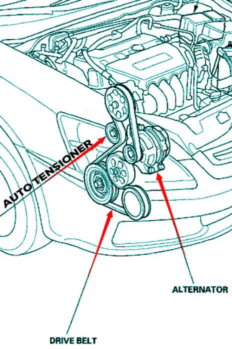 2000 Honda Civic Belt Diagram
