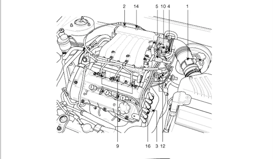 2001 Hyundai Tiburon Wiring Diagram Pictures Wiring Diagram Sample