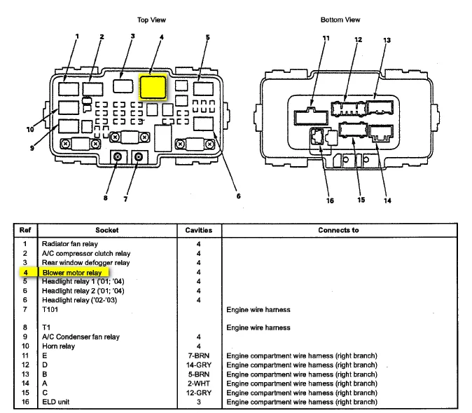 2004 Honda Civic Fuse Box Diagram