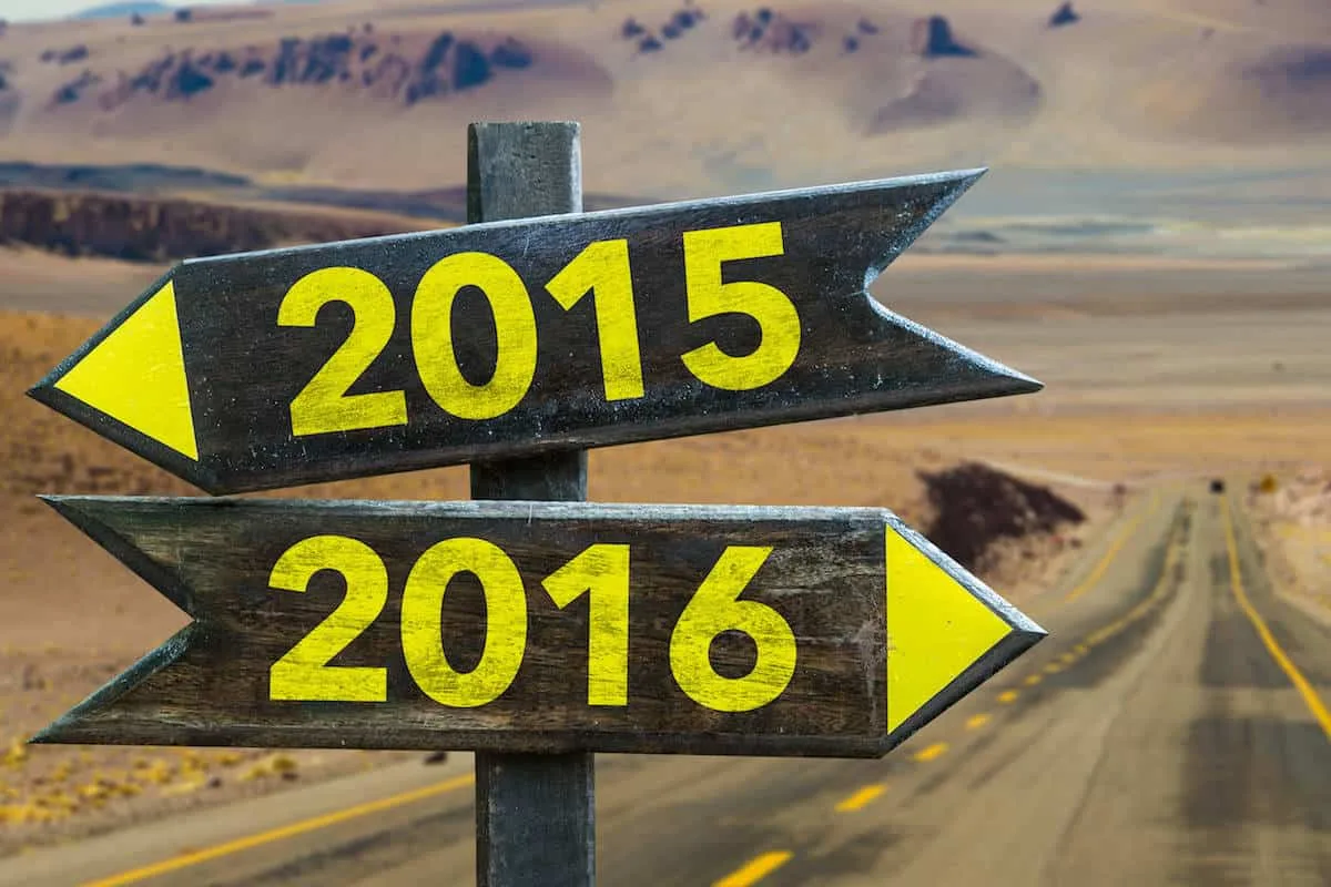 2015 Year In Review Sumy Designs