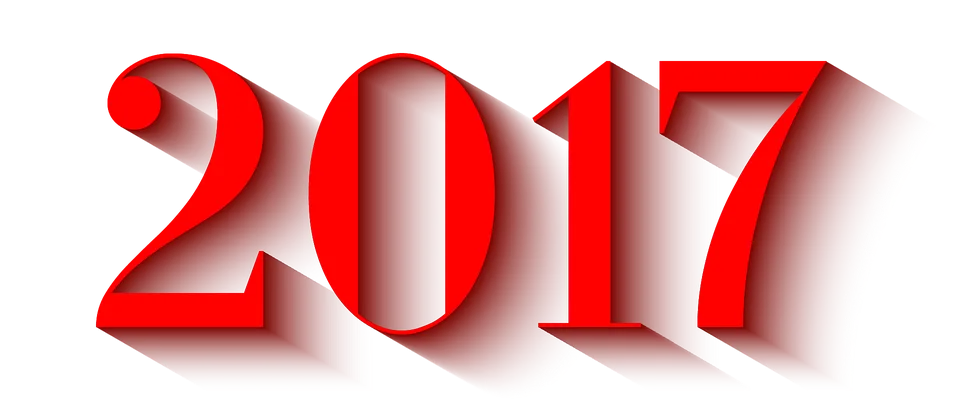 2017 My Year In Review Talia Whyte
