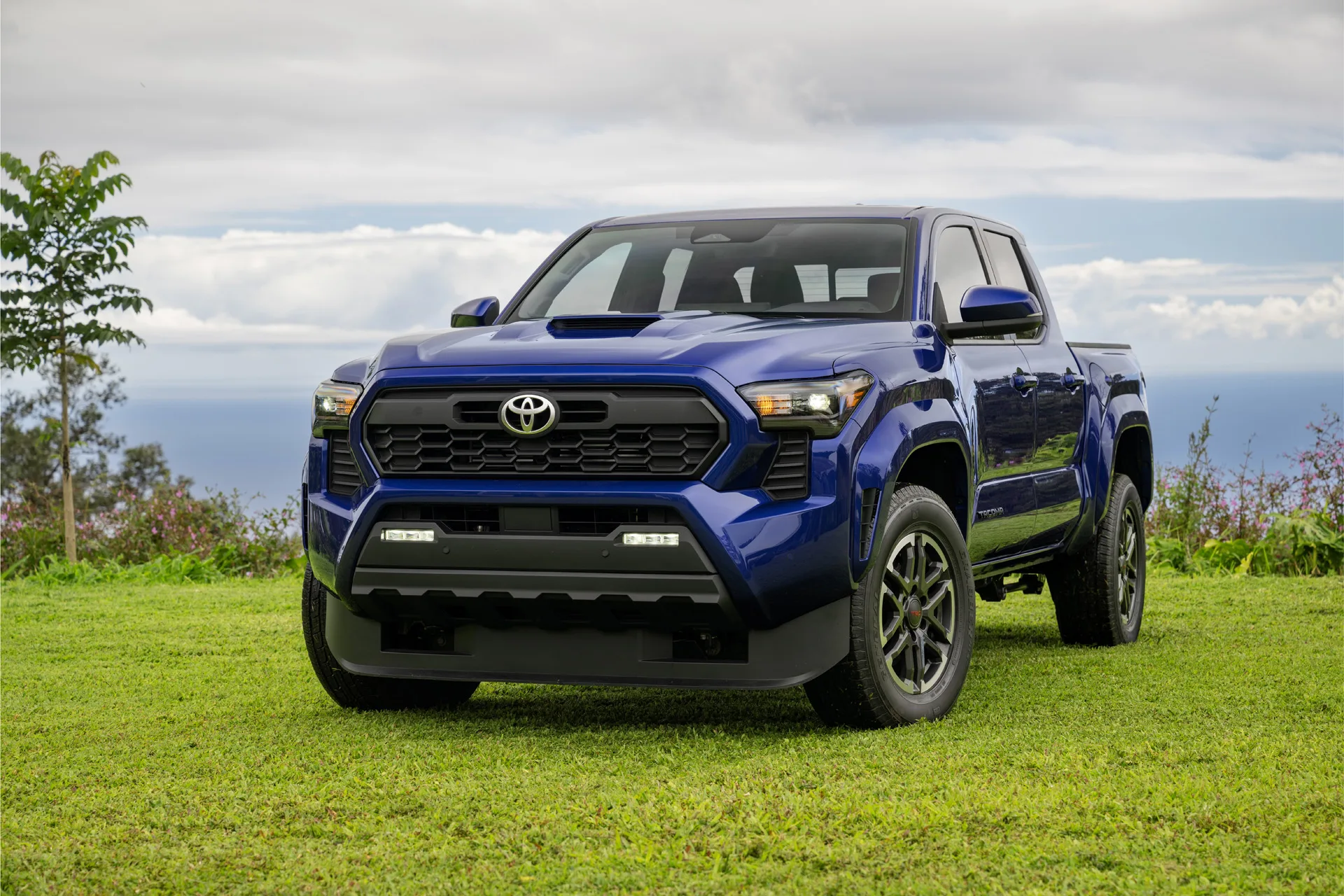 2025 Toyota Tacoma Trd Sport Premium Tammy J Nolan