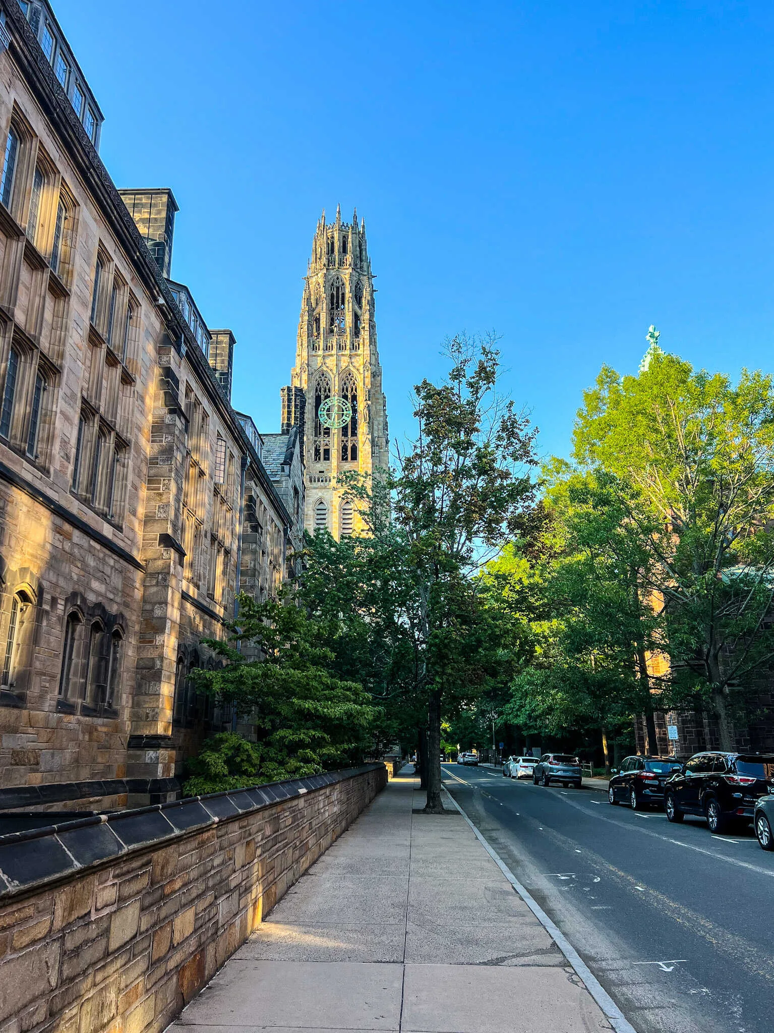 24 Incredible Things To Do Around Yale University The Purposely Lost