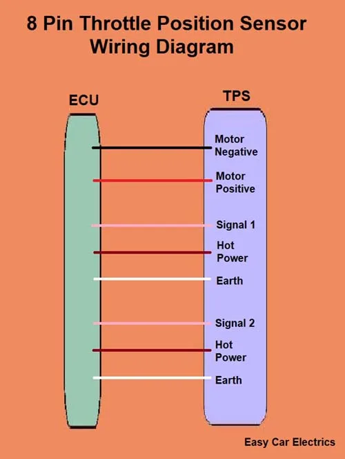 26 Toyota Tps Wiring Diagram Karlenealisa