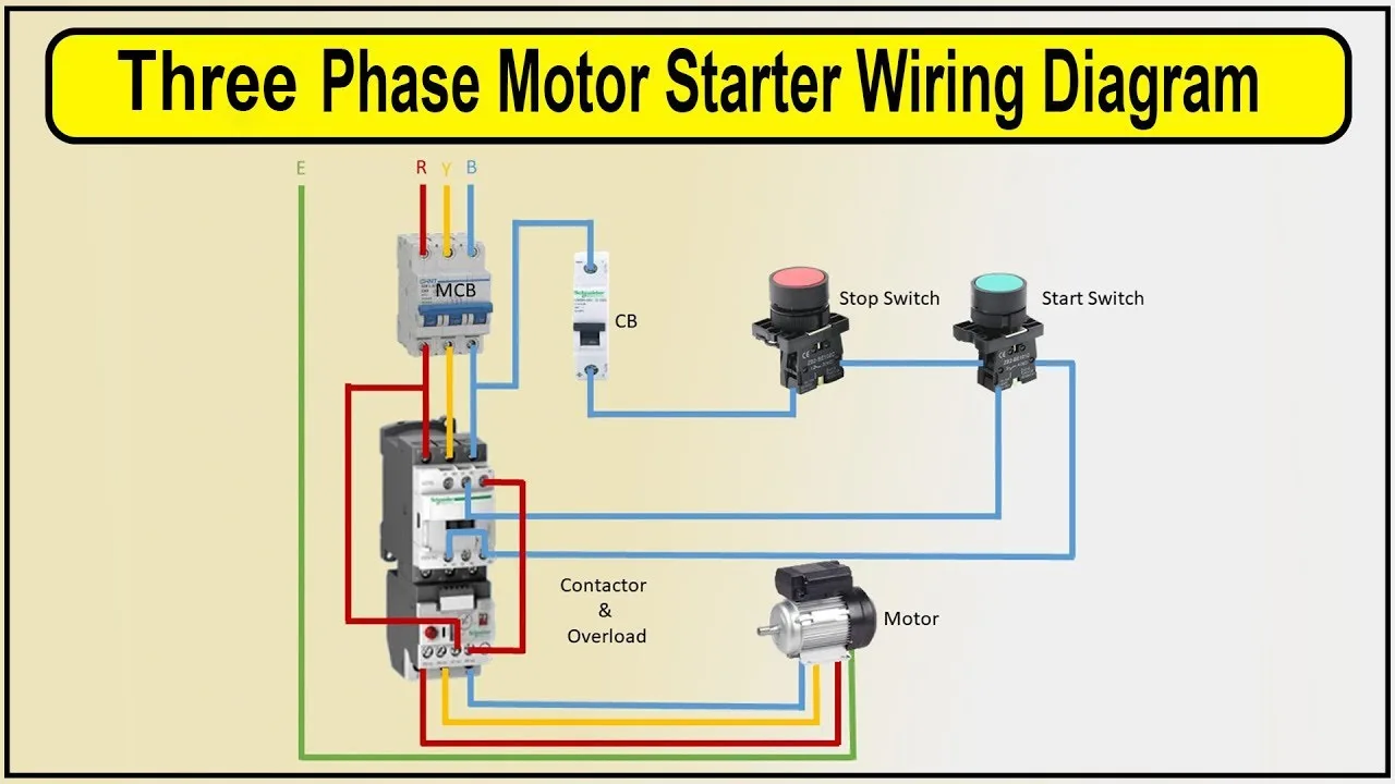3 Phase Electric Motor Starter Wiring Diagram 3 Phase