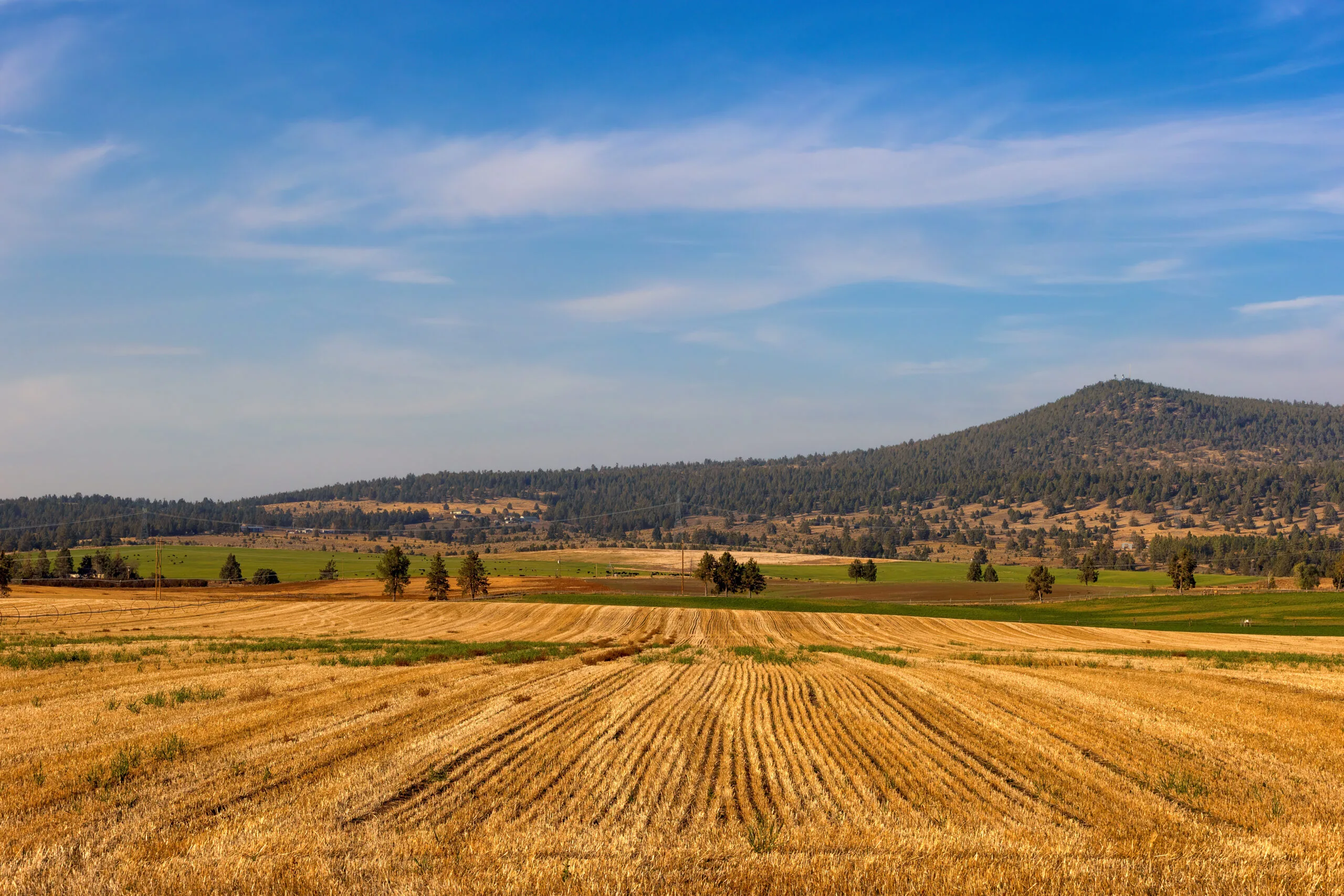 3 Tips For First Time Land Buyers National Land Realty News