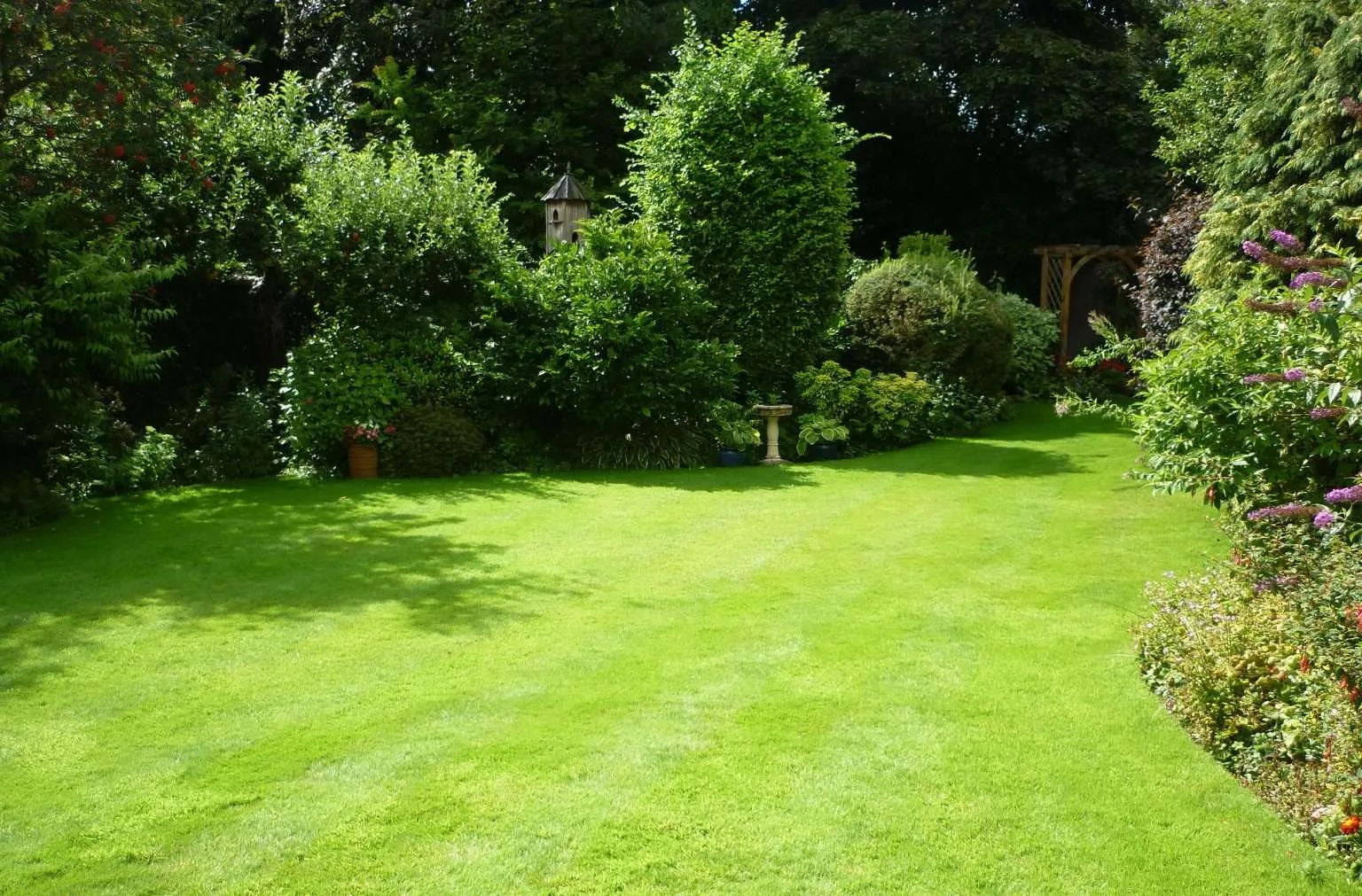 4 Tips To Prepare Your Lawn For Spring The Lawn Man
