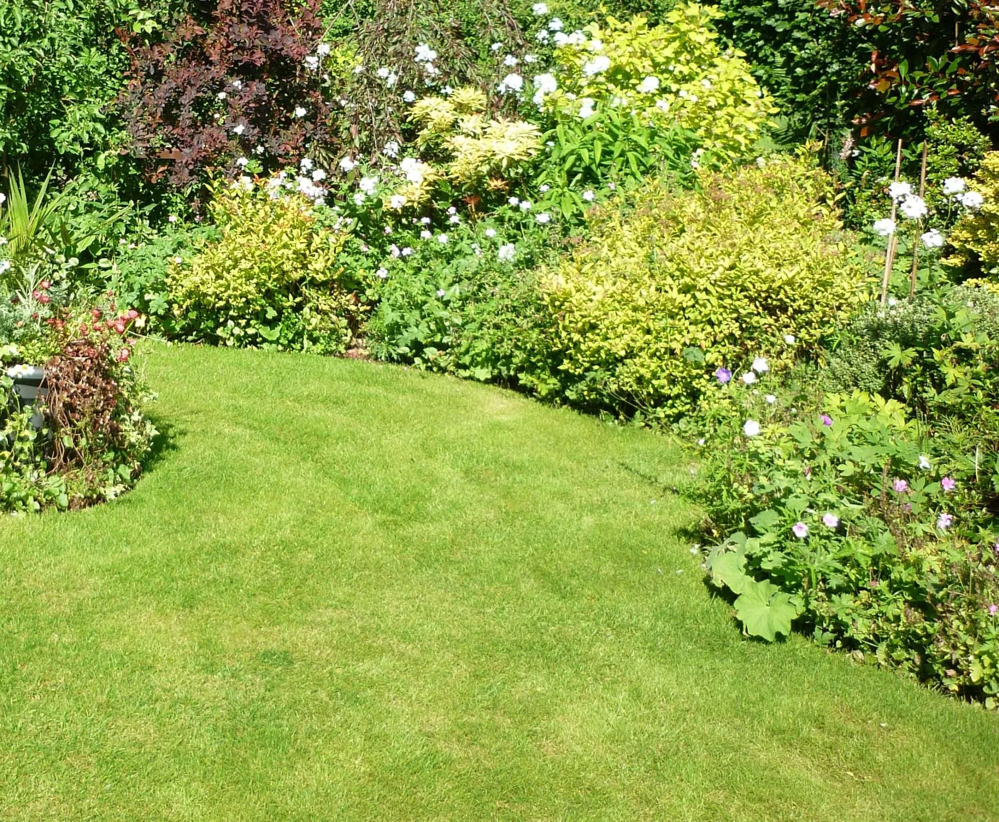 4 Tips To Prepare Your Lawn For Spring The Lawn Man