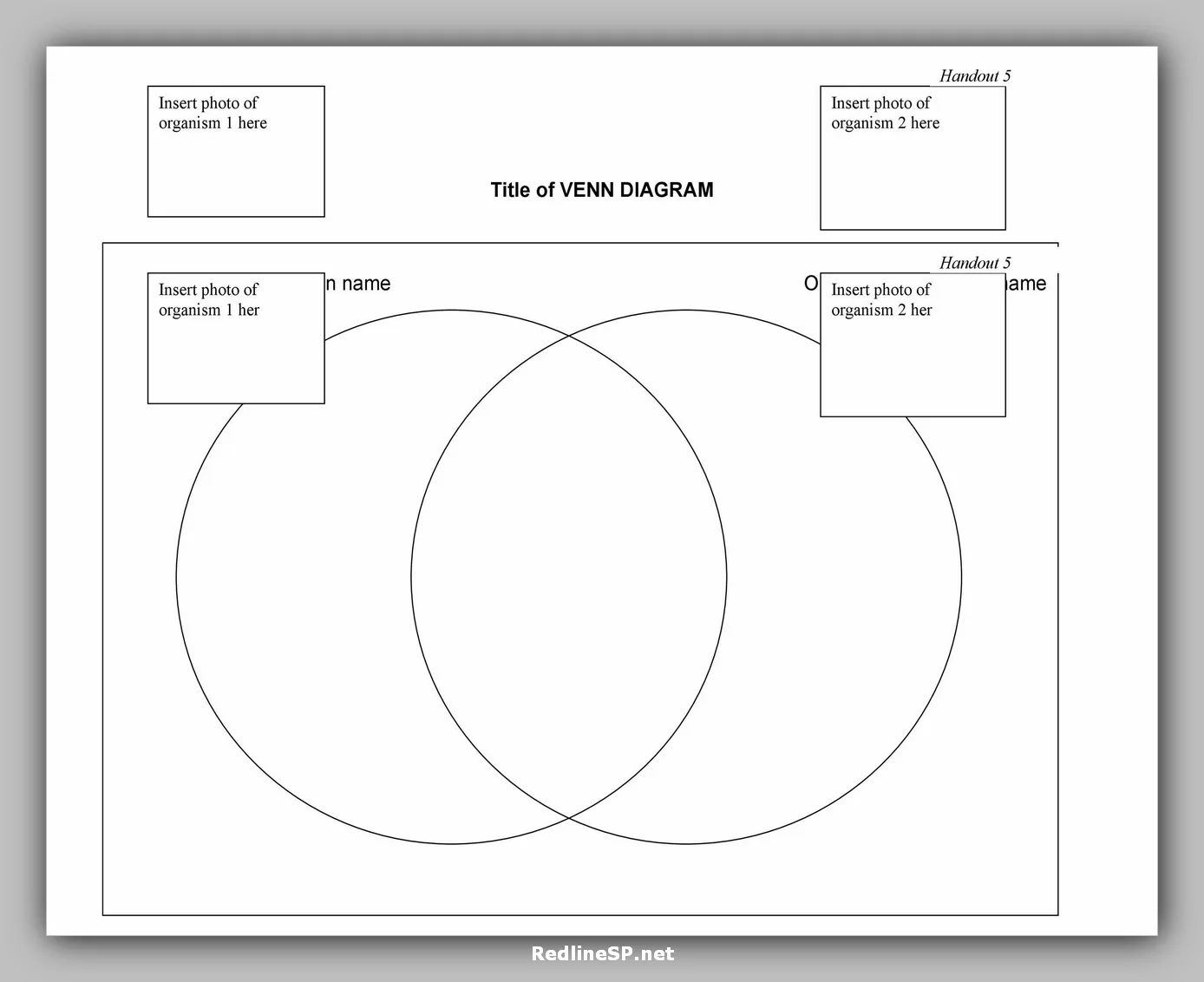 43 Useful Venn Diagram Template Redlinesp