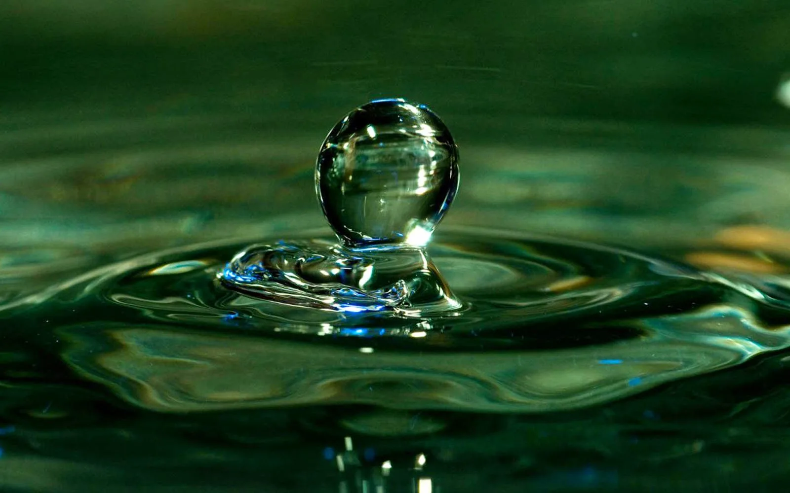 47 Water Droplet Wallpapers Wallpapersafari