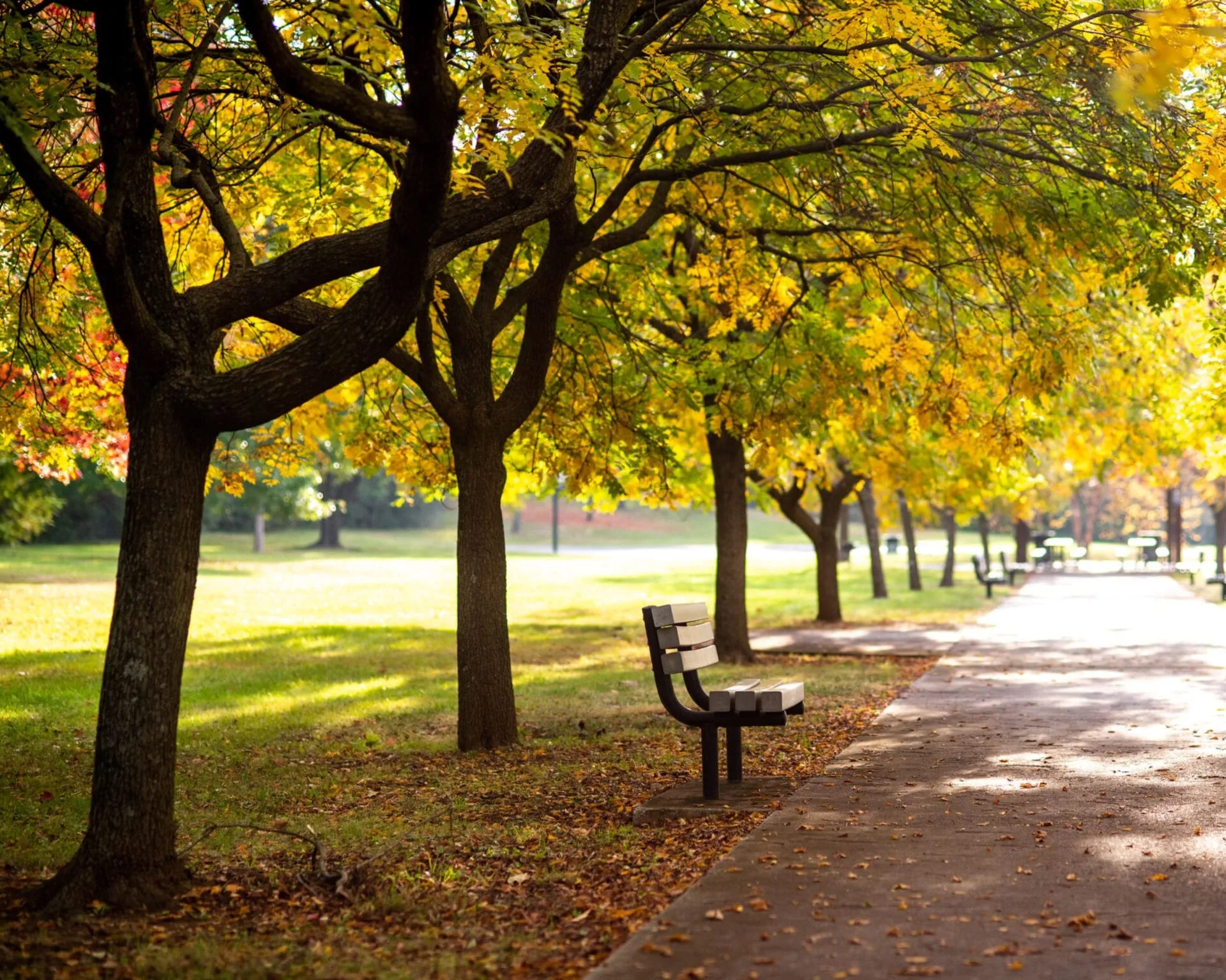 5 Easy Ways To Opt Outside Roanoke Parks And Recreation
