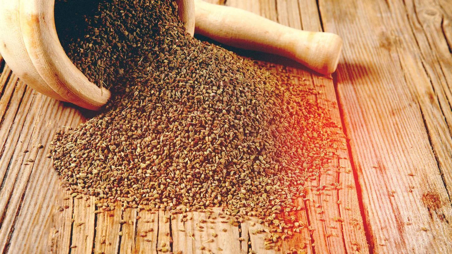 5 Health Benefits Of Carom Seeds Udumbara Falun Dafa News And More