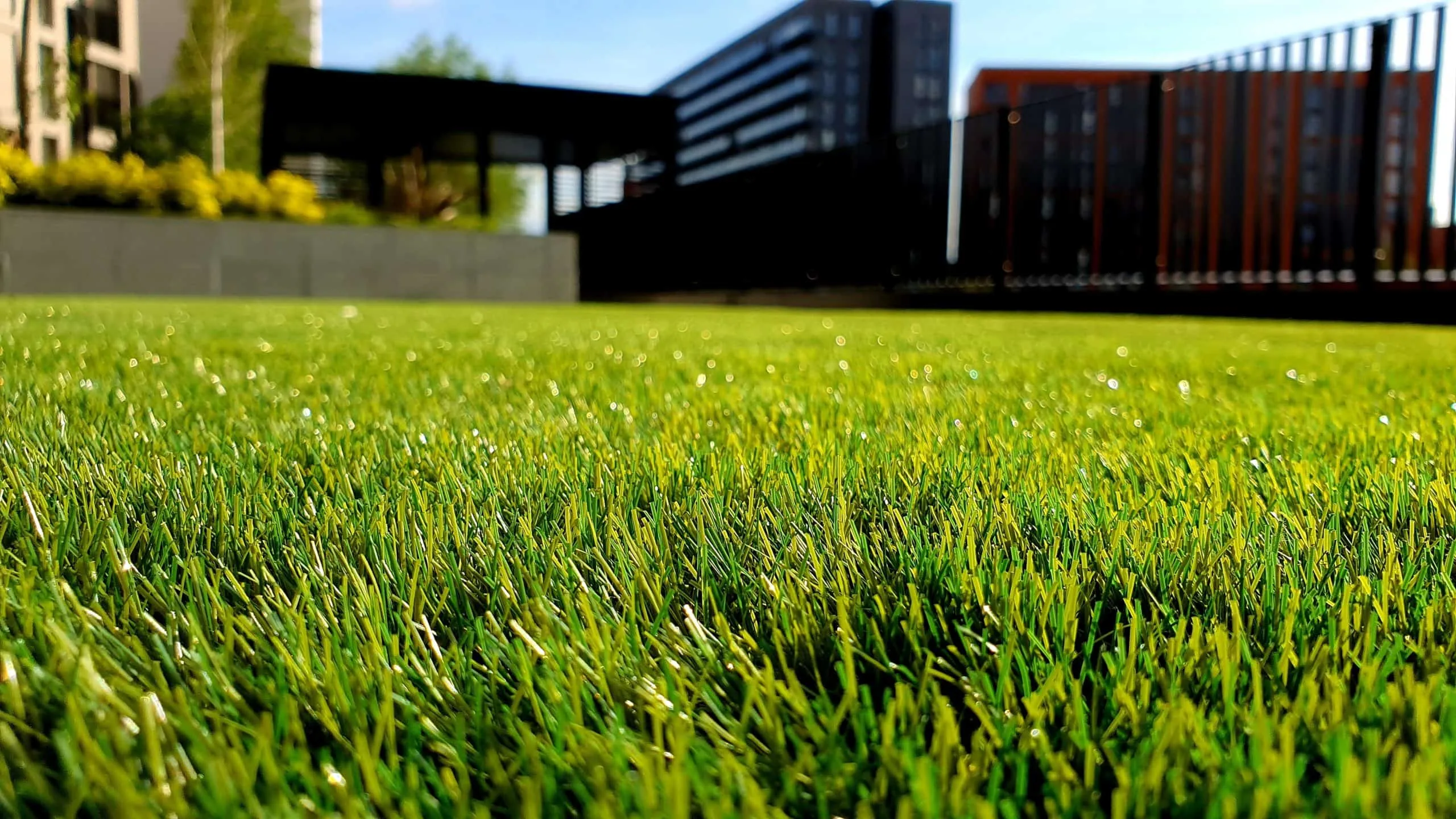 5 Tips On Preventing Lawn Burn For Homeowners In Orlando Fl Plowz And Mowz