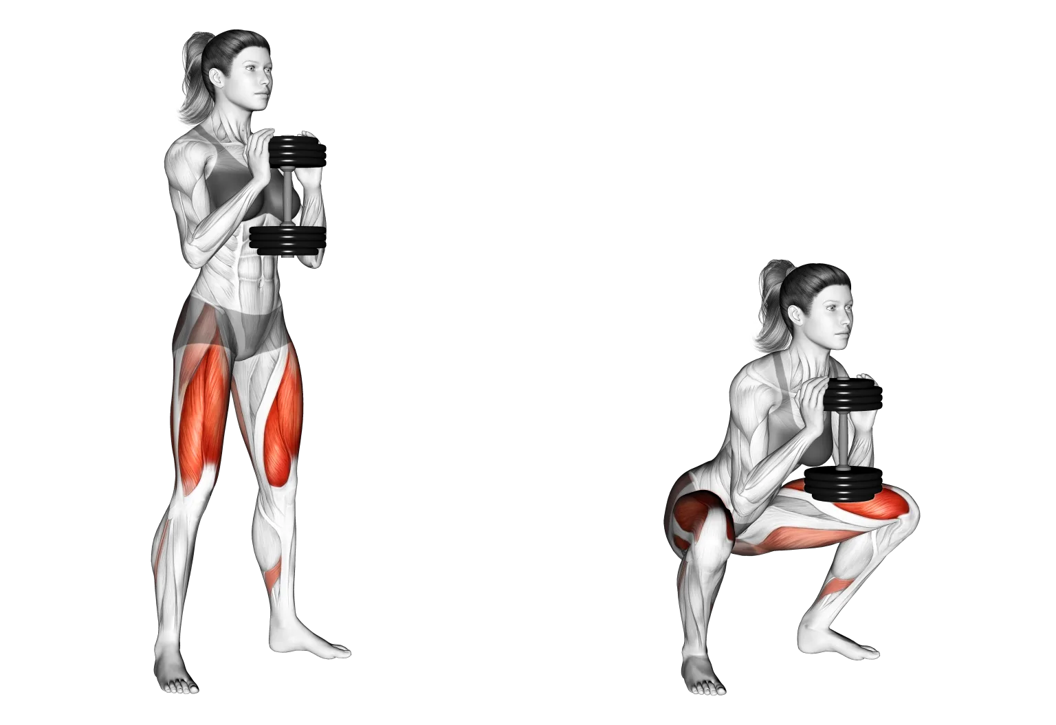 6 Best Dumbbell Squat Variations With Pictures Inspire Us