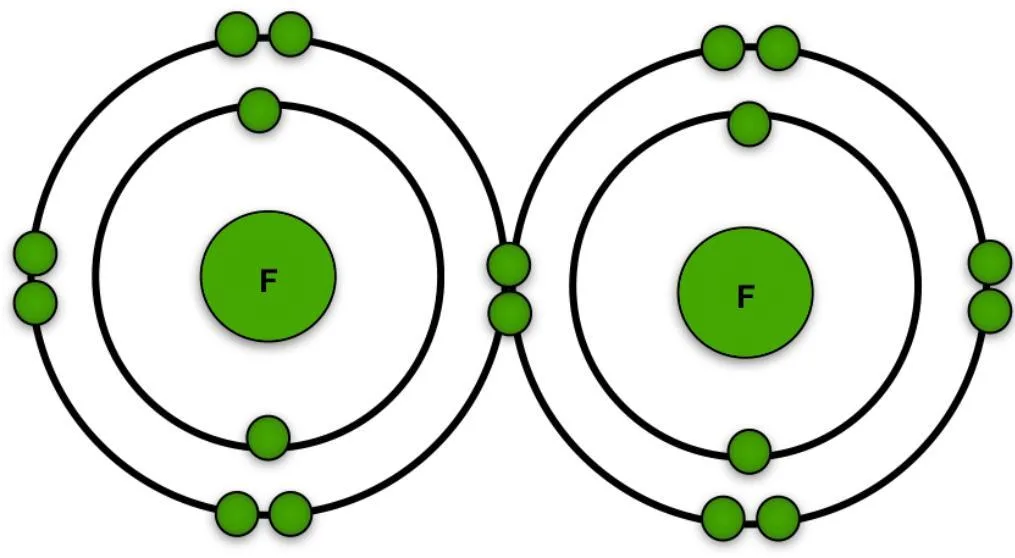 6 Draw A Bohr Rutherford Diagram For Each Of The Following Molecules A Fluorine F₂ B