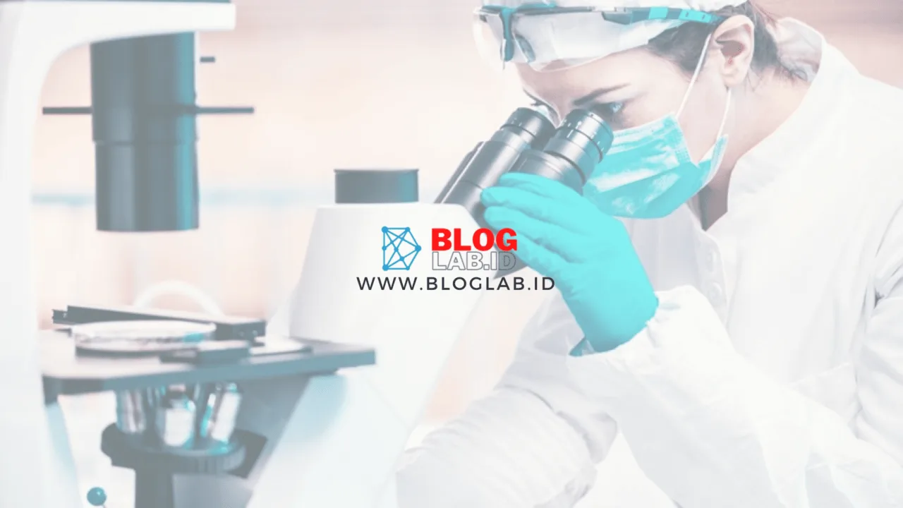7 Phase Growth Bacteria