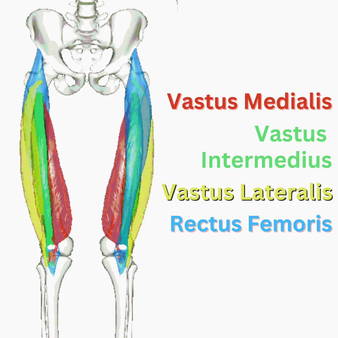 7 Quad Stretches For Knee Pain