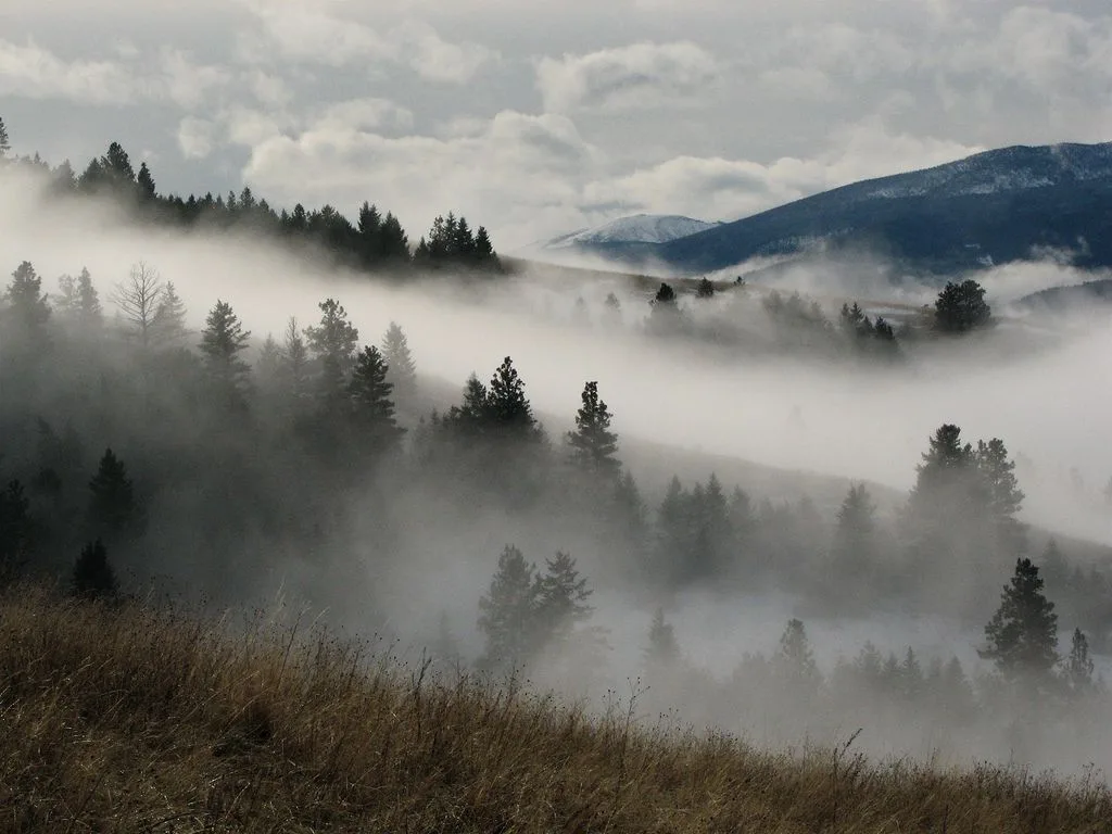 7 Types Of Fog You Didn T Know Had Names