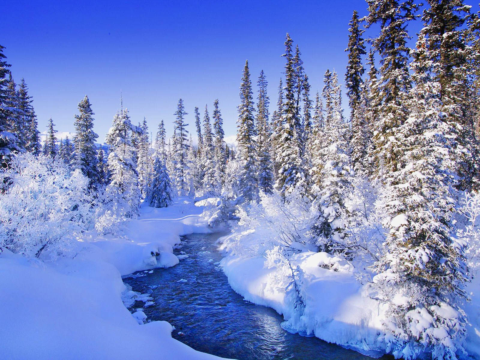 76 Free Snow Backgrounds Wallpapersafari