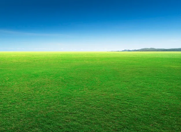 A Green Ground Images Free Download On Freepik