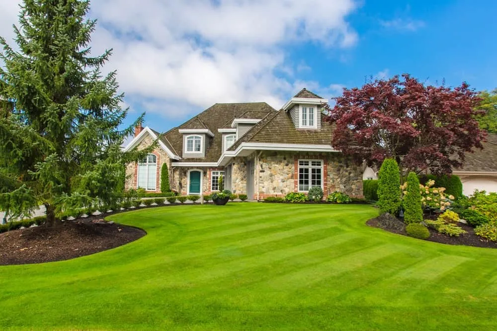 A Guide To Achieving The Perfect Lawn