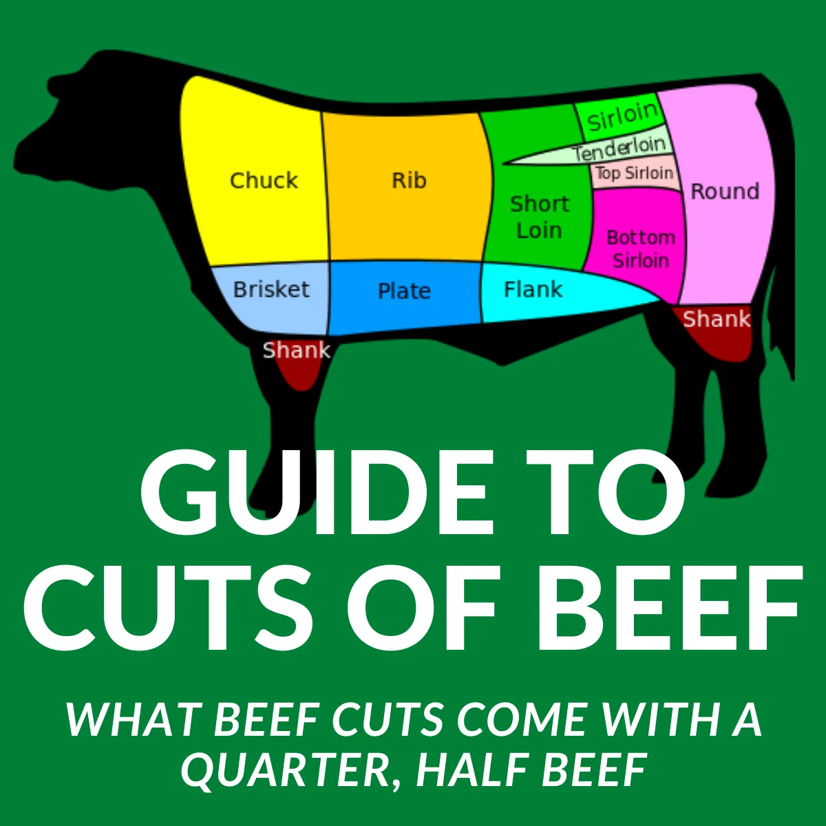 A Guide To All The Cuts Of Beef 42 Off