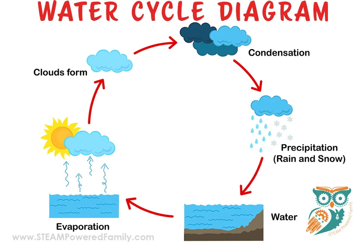 A Simple And Powerful Water Cycle Lesson