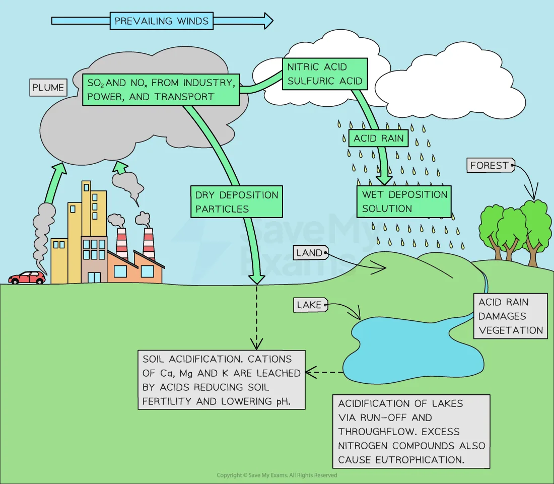 Acid Deposition Cambridge Cie As Environmental Management Revision Notes 2020