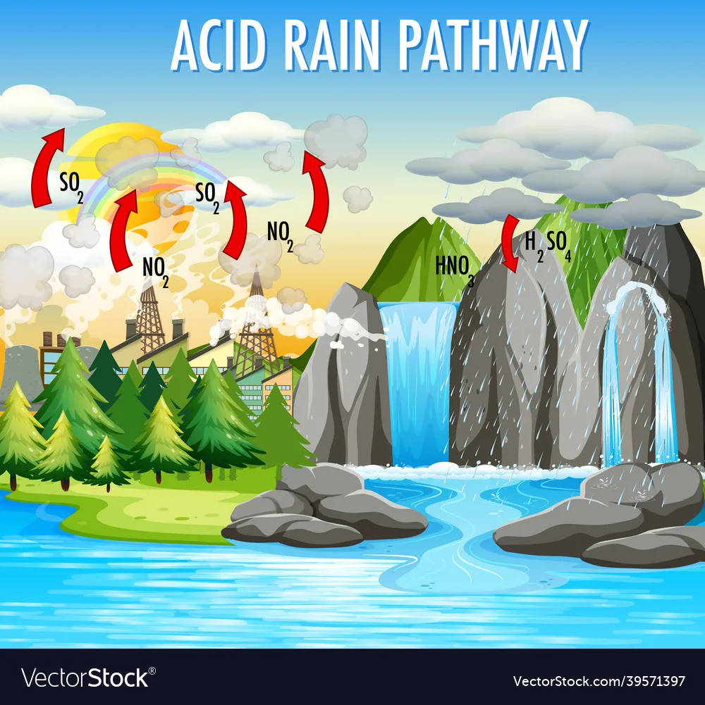 Acid Rain Diagram